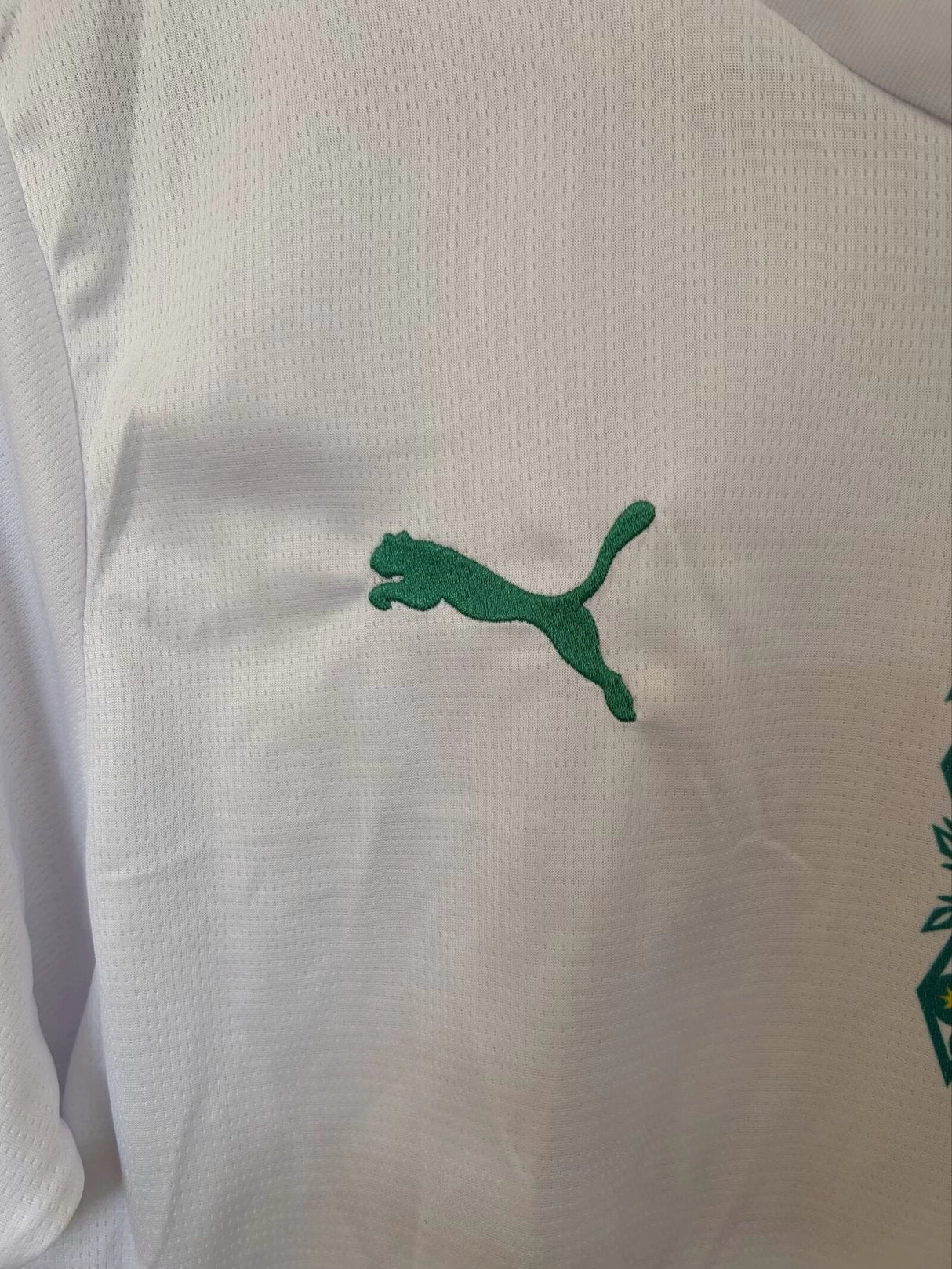 Senegal Weltmeisterschaft 2026