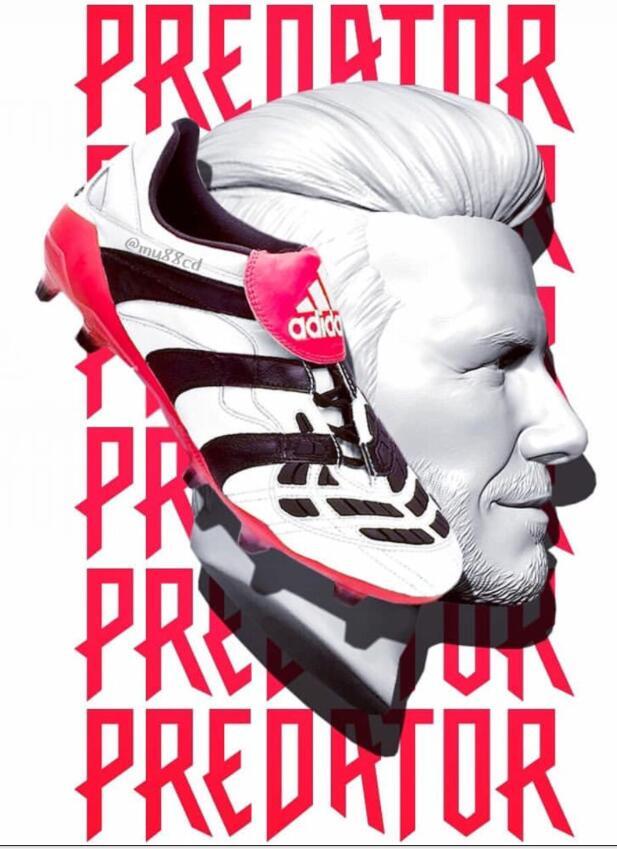 PREDATOR DAVID BECKHAM