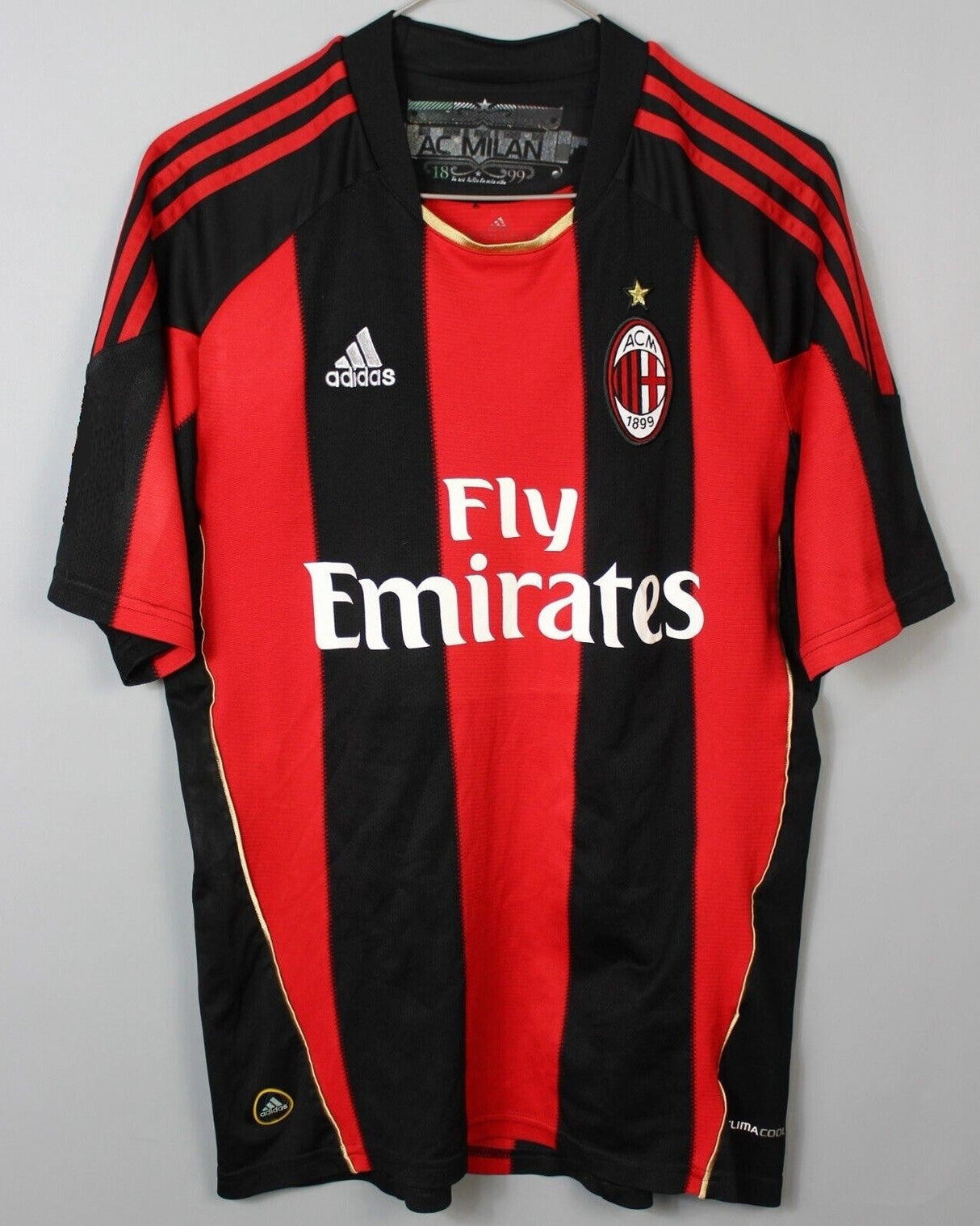 IBRAHIMOVIC ZLATAN 2010-11 (Mailand)
