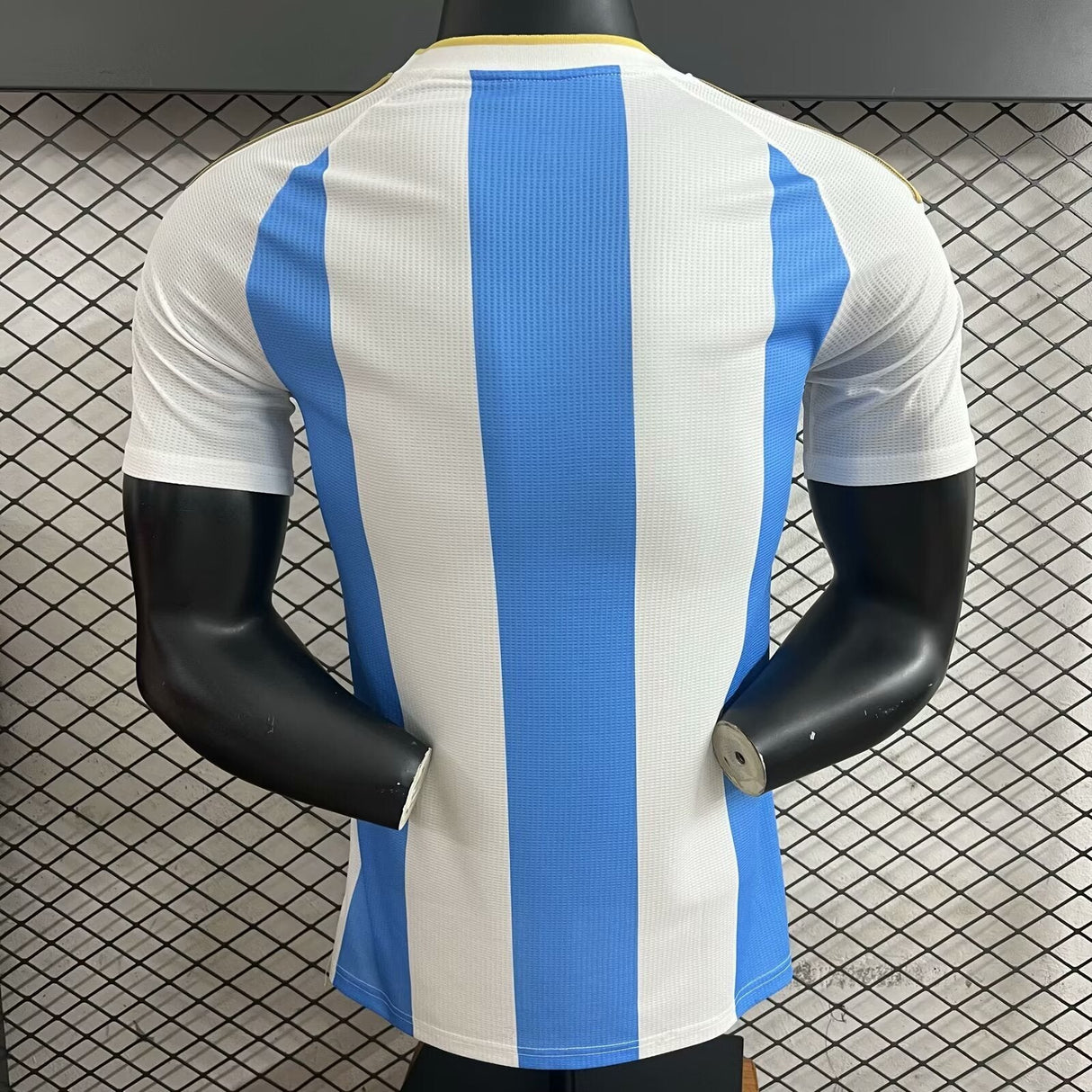 Argentinien Fußball-WM 2026