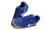 Nike SB Gato