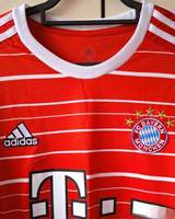MULLER THOMAS 2022-23 (Maschio Baio)