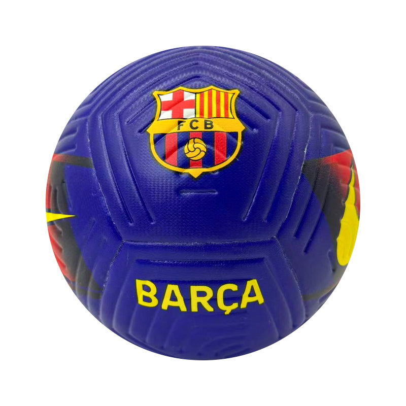 Euro 2024 de l'UEFA en Allemagne