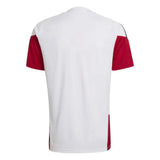 Jersey Germany Training Pro White 2026