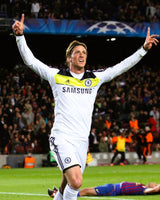 TORRES FERNANDO 2011-12 (Maglia)