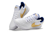 Nike SB Gato