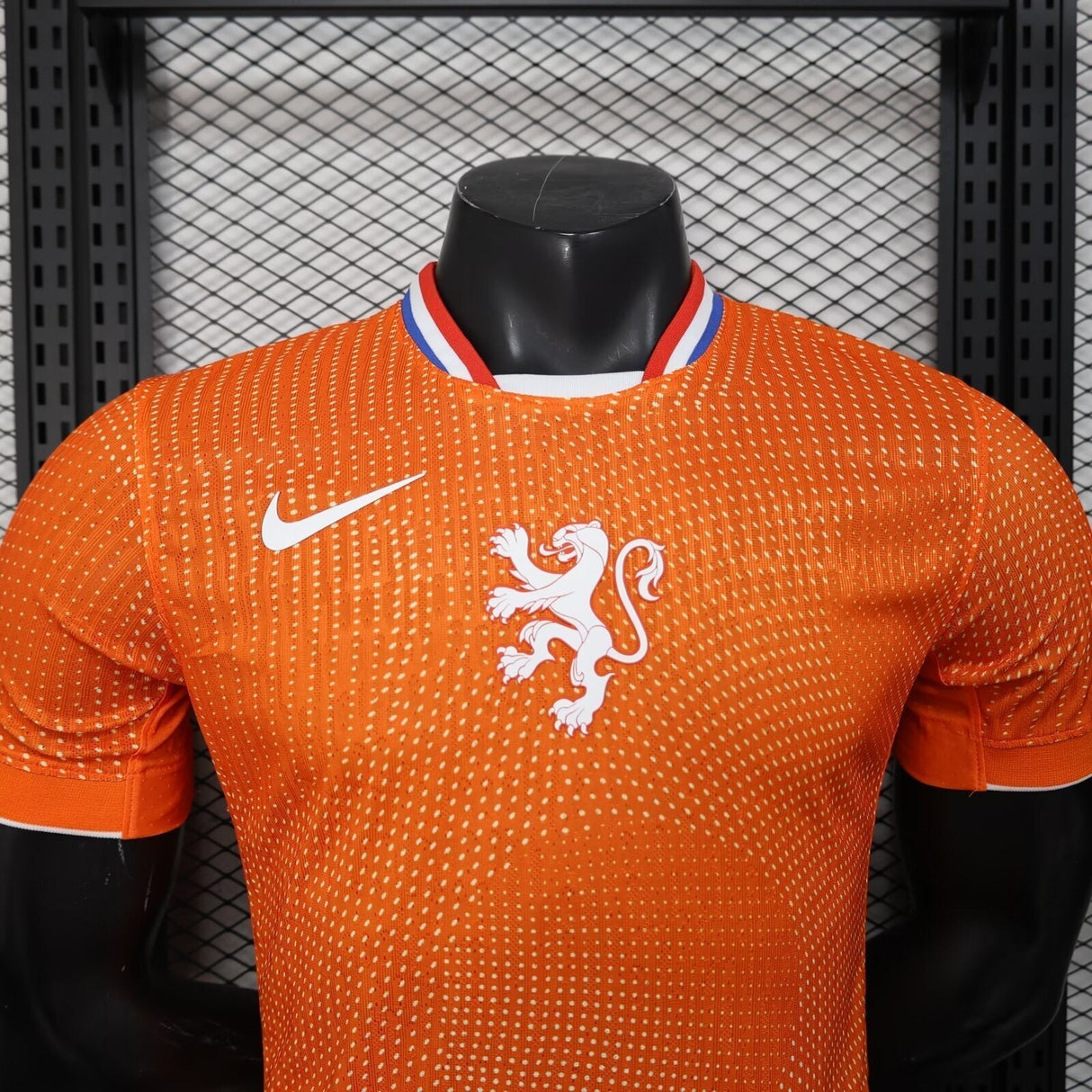 Niederlande Weltmeisterschaft 2026