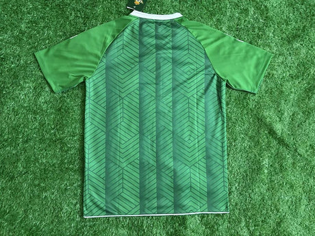 REAL BETIS 2026/27 MAILLOT D'ÉCHAUFFEMENT - Vert