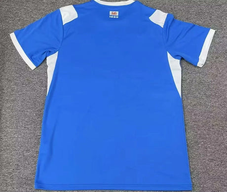 CARDIFF CITY 2026/27 MAGLIA HOME