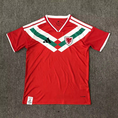 WALES 2026/27 قميص إصدار خاص - أحمر