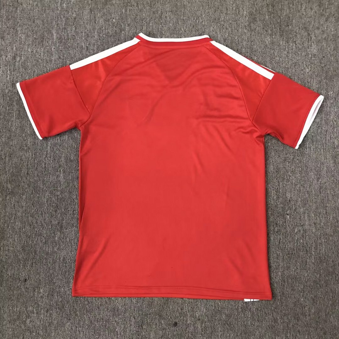 WALES 2026/27 SPECIAL EDITION JERSEY - Red
