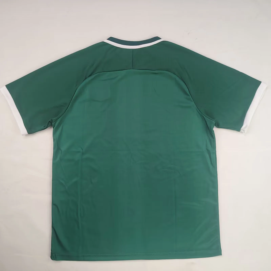 PALESTINE 2026/27 SPECIAL EDITION JERSEY - Green