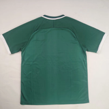 PALESTINE 2026/27 SPECIAL EDITION JERSEY - Green