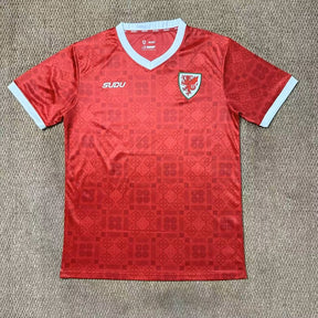 WALES 2027/28 HOME JERSEY - Red