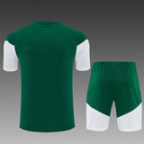 ITALY 2026/27 TRAINING KIT SHIRT + SHORT - Green - back