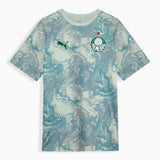 PALMEIRAS 26/27 PRE-MATCH JERSEY
